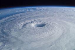 Houston Hurricane Lawyer